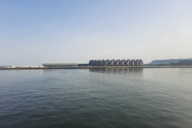 A Full Day Baku City Private Tour - The Heydar Aliyev Centre and Baku’s modern face