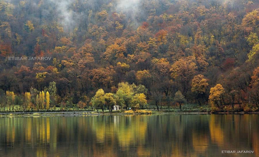 Baku-Gabala-Shamakhi-Tufandag -Nohur lake - Lavender fields - Key points to know before booking