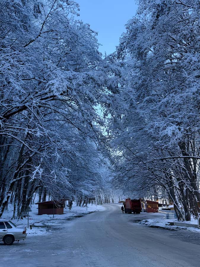 Baku: Guba, Candy Cane, and Shahdag Mountain Resort Trip - The road north from Baku