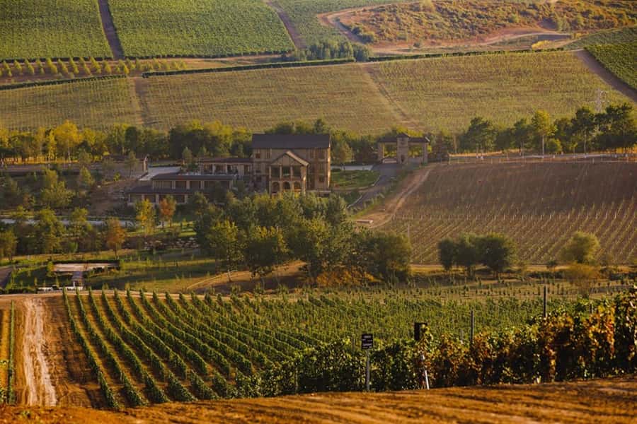 Baku: Organic Winery Tour in Shamakhi with Local Lunch - A young winery with a serious production plan