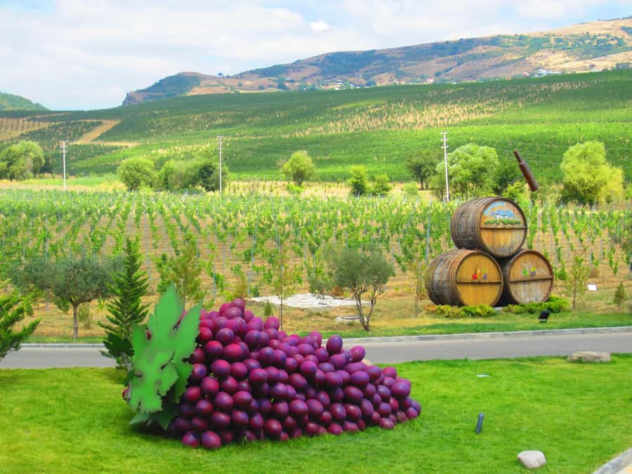 Baku: Organic Winery Tour in Shamakhi with Local Lunch - Inside the 4,398-square-meter wine factory