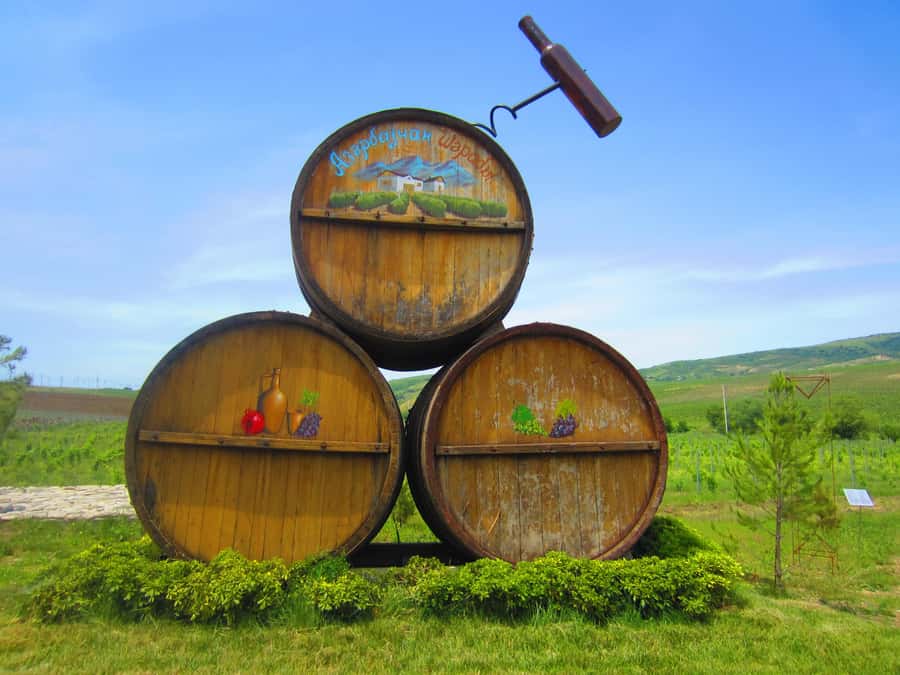 Baku: Organic Winery Tour in Shamakhi with Local Lunch - Who will enjoy this Shamakhi wine day?