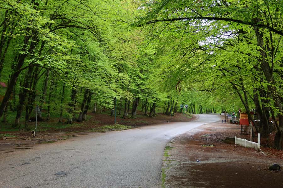 Baku: Quba Khinaliq Group Tour, Free Gobustan Absheron Tour - Gudyalcay River and the canyon road