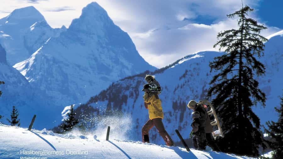 From Baku: Candy Mountains and Shahdag Tour - Who will enjoy this day trip most