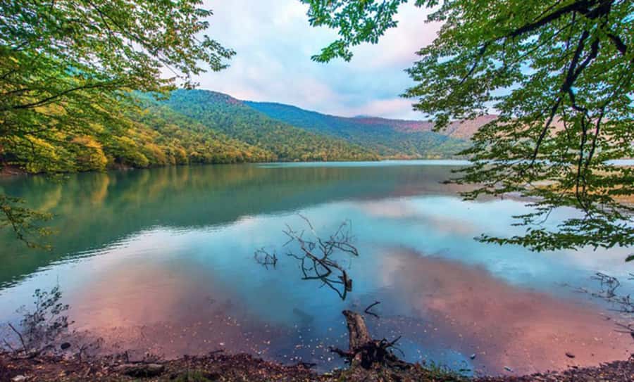 From Baku: Gabala and Shamakhi Nature Tour - Practical advice for a smoother day