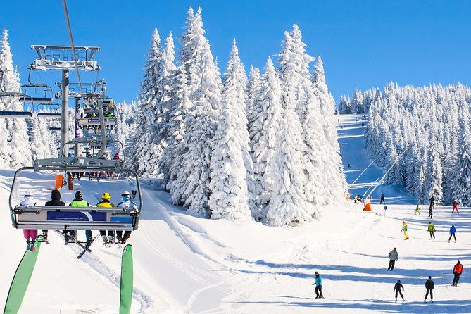 From Baku: Gabala Day Trip - Seven Beauties waterfall and the limits of the climb
