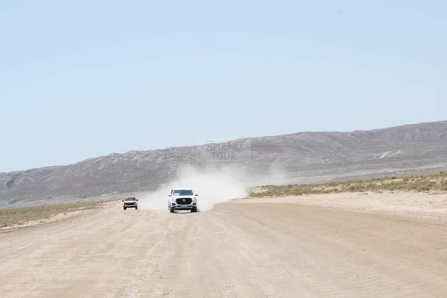 From Baku: Gobustan 4x4 Private Tour - Private - A private 4x4 is useful for a small group