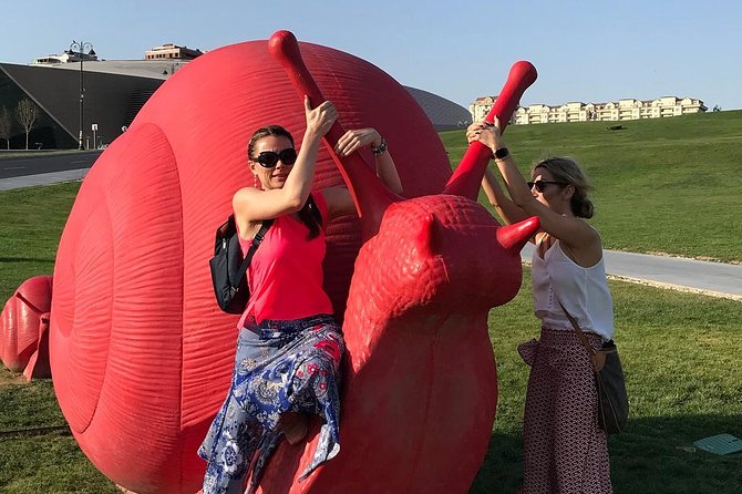 Full-Day Baku City Tour - Transport, pickup, and group size