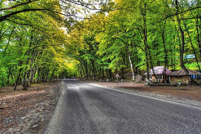 Full-Day Private Tour of Guba and Khinalig - Qechresh forest gives you an easy first pause