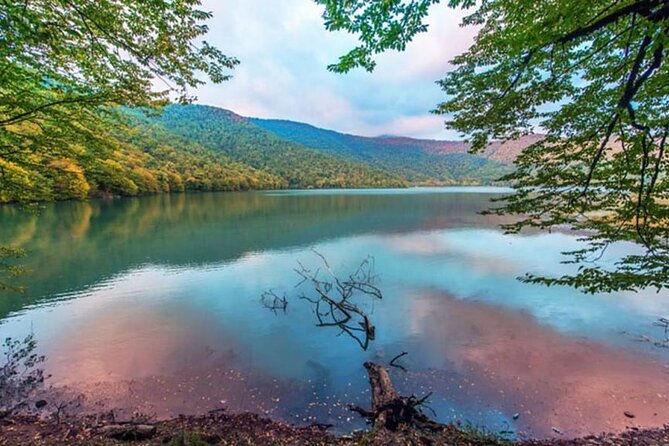 Gabala and Shamakhi Tour with Guide - What the $55 price really gives you