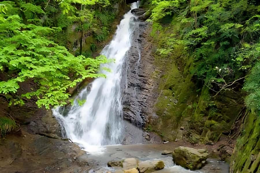 Gabala & Lavender Fields Group Guided tour - Who should take this Gabala day trip?
