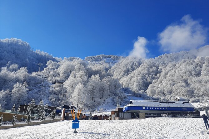 Gabala & Samakhi Tour/ All Entrance Fees Included Tour - Essenso Lavender Farm during the blooming season