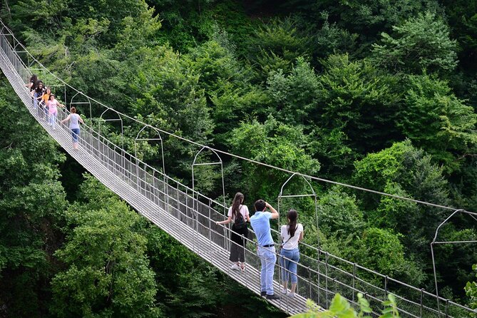 Gabala + Shamakhi tour (by Old City Tours) - Tufandag cable cars provide the day’s finest views