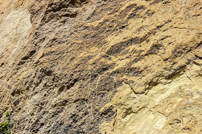 Gobustan and Mud volcanoe GROUP TOUR - What to bring and how to prepare