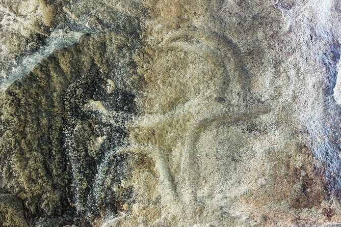 Gobustan, Mud volcanoes, Fire temple, Fire mountain PRIVATE TOUR - Who gets the best value from this tour?
