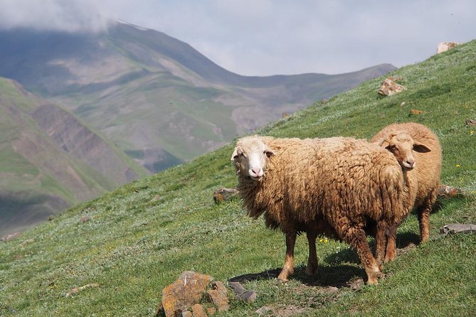 Guba and Khinaligh Private Tour - Khinaligh, the ancient village above the clouds