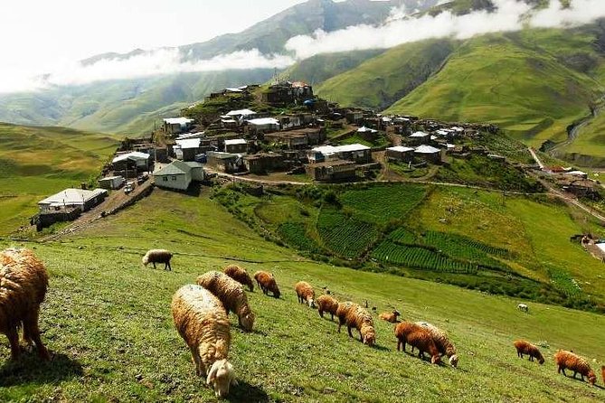 Guba+Khinaligh Day Trip - Is $75 a fair price?