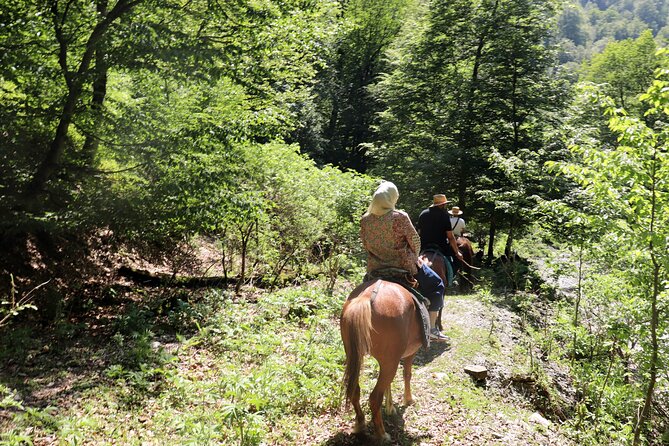 Horseback Riding in Azerbaijan - What the $229 price covers