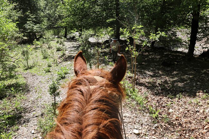 Horseback Riding in Azerbaijan - Who should book this ride