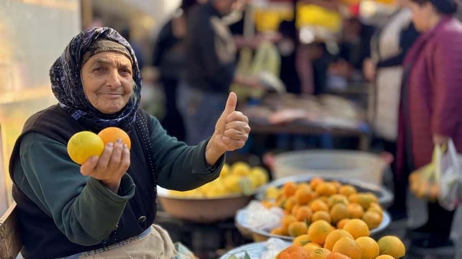 Longevity Secrets of Azerbaijan: Lankaran & Astara tour - Guides, transport, and the real pace of the day