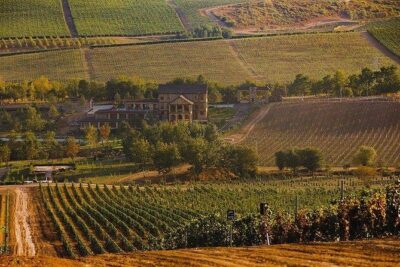 Organic Wine Tour Shamakhi with Local Lunch