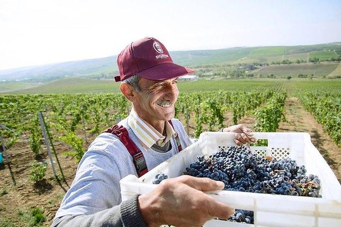 Organic Wine Tour Shamakhi with Local Lunch - What the seven-hour schedule really means