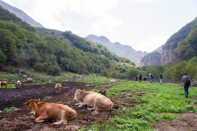 Private Hike through Magic Valley to Laza waterfalls - Laza Waterfalls and winter conditions