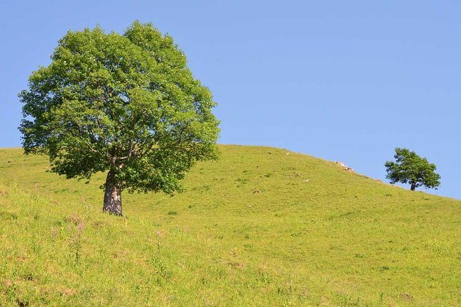 Relaxable and Knowledgeable 9 days Tour in Azerbaijan - Qakh and the appeal of slower mountain days