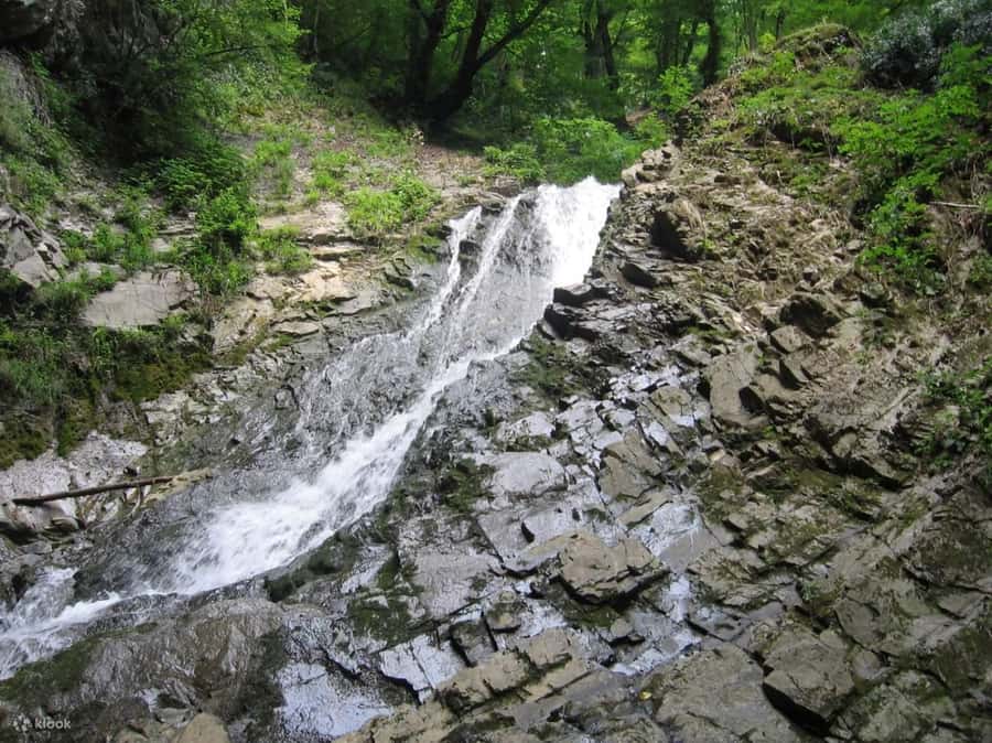 Shamakhi and Gabala Guided Day Tour - Nohur Lake, lunch, and a slower pause