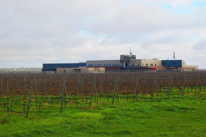 Wine Tour Baku - A private tour with a relaxed social feel