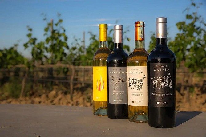 Wine Tour Baku - Who will get the most from this tour