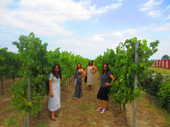 Wine Tour Qabala with Local Lunch - Is $225 per person fair value?