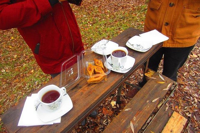 Wine Tour Qabala with Local Lunch - Who will enjoy this wine day most?